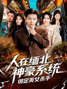 人在缅北，神豪系统绑定美女杀